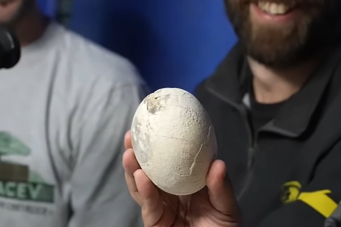 Un Tesoro Prehistórico en el Sur: Revelan el Hallazgo de un Nido de Dinosaurio Carnívoro en Río Negro