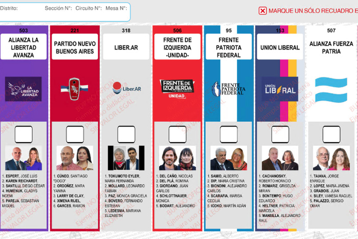 Confusión Libertaria: Boletas con Espert se Mantendrán Pese a su Renuncia