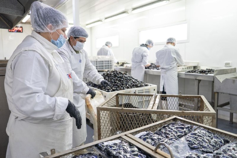 “Industria En Vivo” Abordó La Importancia De La Industria Alimentaria Para La Diversificación Productiva De Tierra Del Fuego