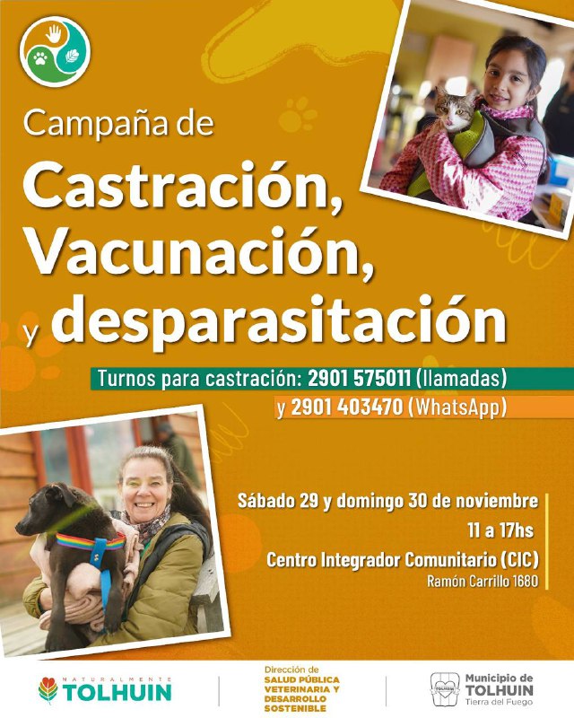 Se llevará adelante una nueva campaña de castración y cuidado responsable de animales en Tolhuin
