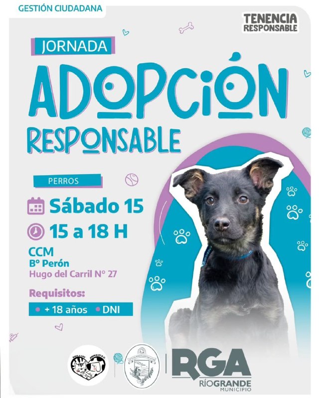 NUEVA JORNADA DE ADOPCIÓN RESPONSABLE EN EL CCM B° PERÓN