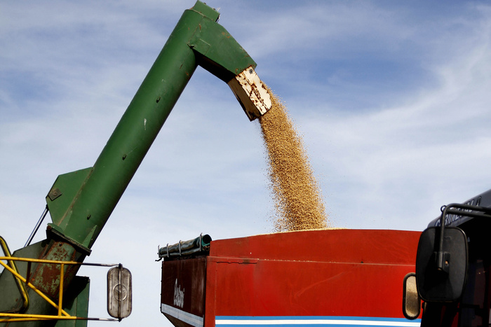 Caída Histórica en la Recaudación por Derechos de Exportación