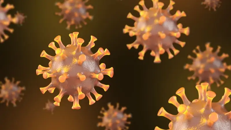 LA GRIPE K LLEGÓ A LA ARGENTINA: DETECTAN LOS PRIMEROS TRES CASOS DE LA VARIANTE H3N2