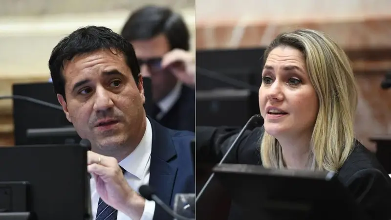 Fractura en el Senado: Radicales Dividen su Voto y Rechazan el Recorte Histórico al Financiamiento Educativo