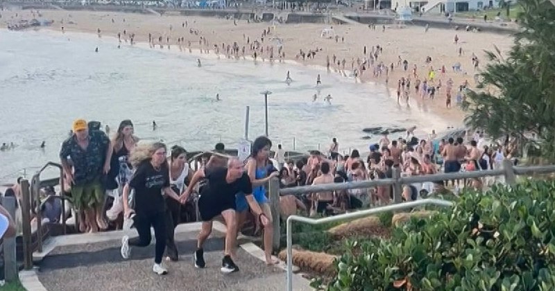 Terror y Luto en la Costa Dorada: Un Ataque Antisemita Ensombrece la Festividad de Janucá en Sídney