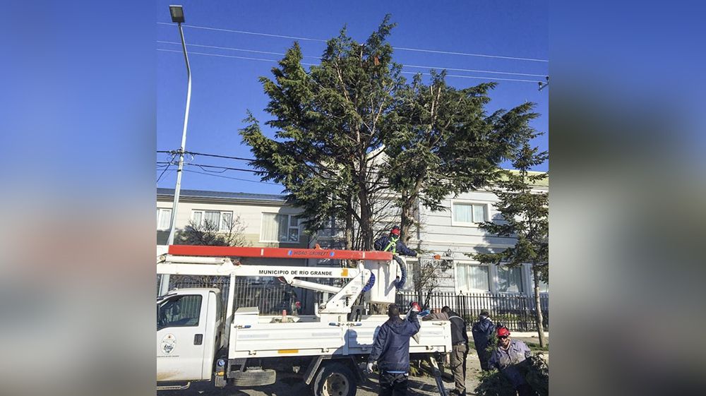 Río Grande Siembra el Futuro: Un Plan Maestro para el Arbolado Urbano Transforma la Ciudad