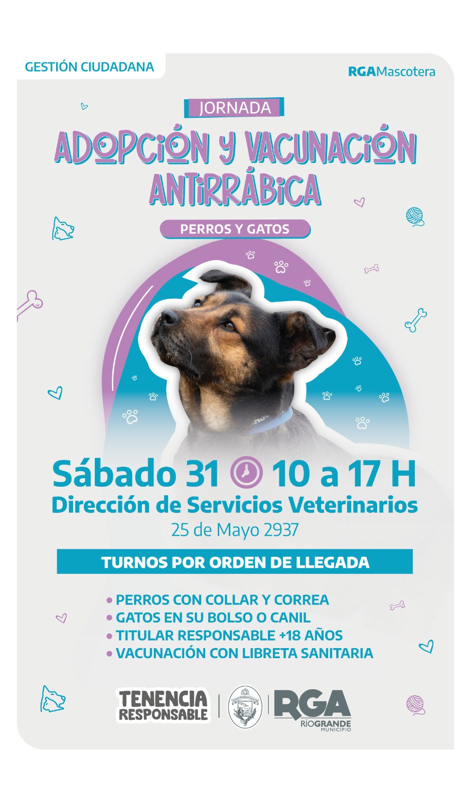 JORNADA DE VACUNACIÓN Y ADOPCIÓN RESPONSABLE EN RÍO GRANDE