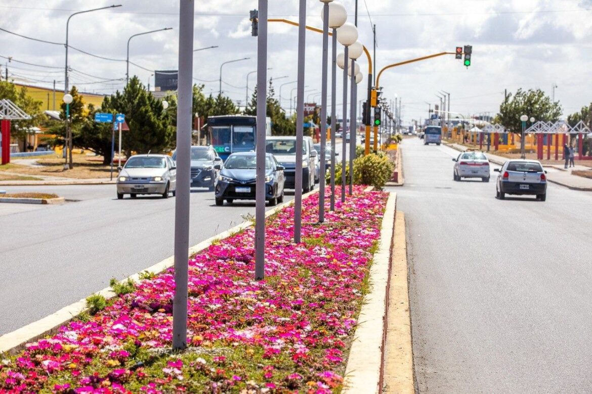 EL VIVERO MUNICIPAL SUMA COLOR Y VIDA A LOS ESPACIOS PÚBLICOS