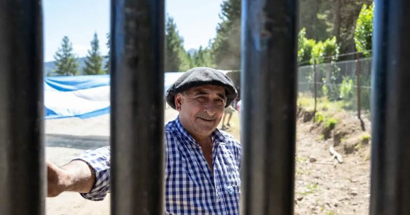Patagonia en Llamas: El Crimen Ecológico que Devora el Patrimonio Nacional