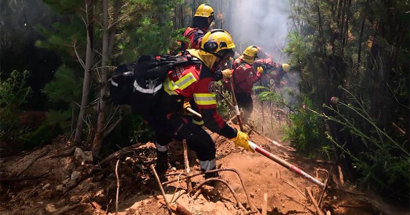 Chubut Enfrenta un Infierno Persistente: Lluvias No Logran Apagar las Llamas en Los Alerces