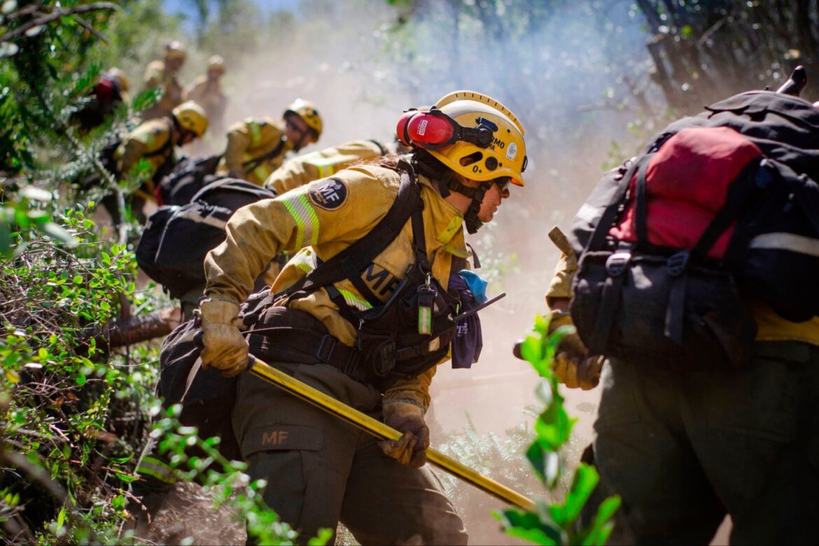 Fuego Real, Héroes Virtuales: El Aislamiento del Poder y el Grito de los Brigadistas Olvidados