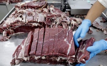 Pekín impone salvaguardas a la carne bovina: incertidumbre y desafíos para las exportaciones sudamericanas