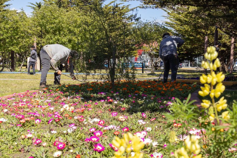 EL MUNICIPIO AVANZA CON EL EMBELLECIMIENTO Y EL PARQUIZADO DE LA CIUDAD
