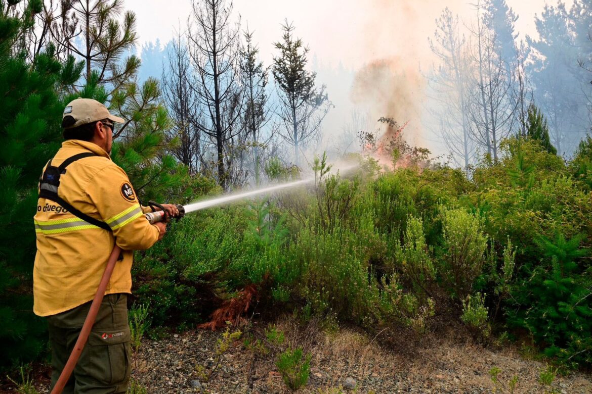 La Patagonia Arde: Incendios Devastan Más de 21 Mil Hectáreas y Dejan Graves Heridos