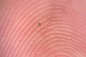 La Revolución Invisible: Crean Robots Autónomos Más Pequeños que un Grano de Sal