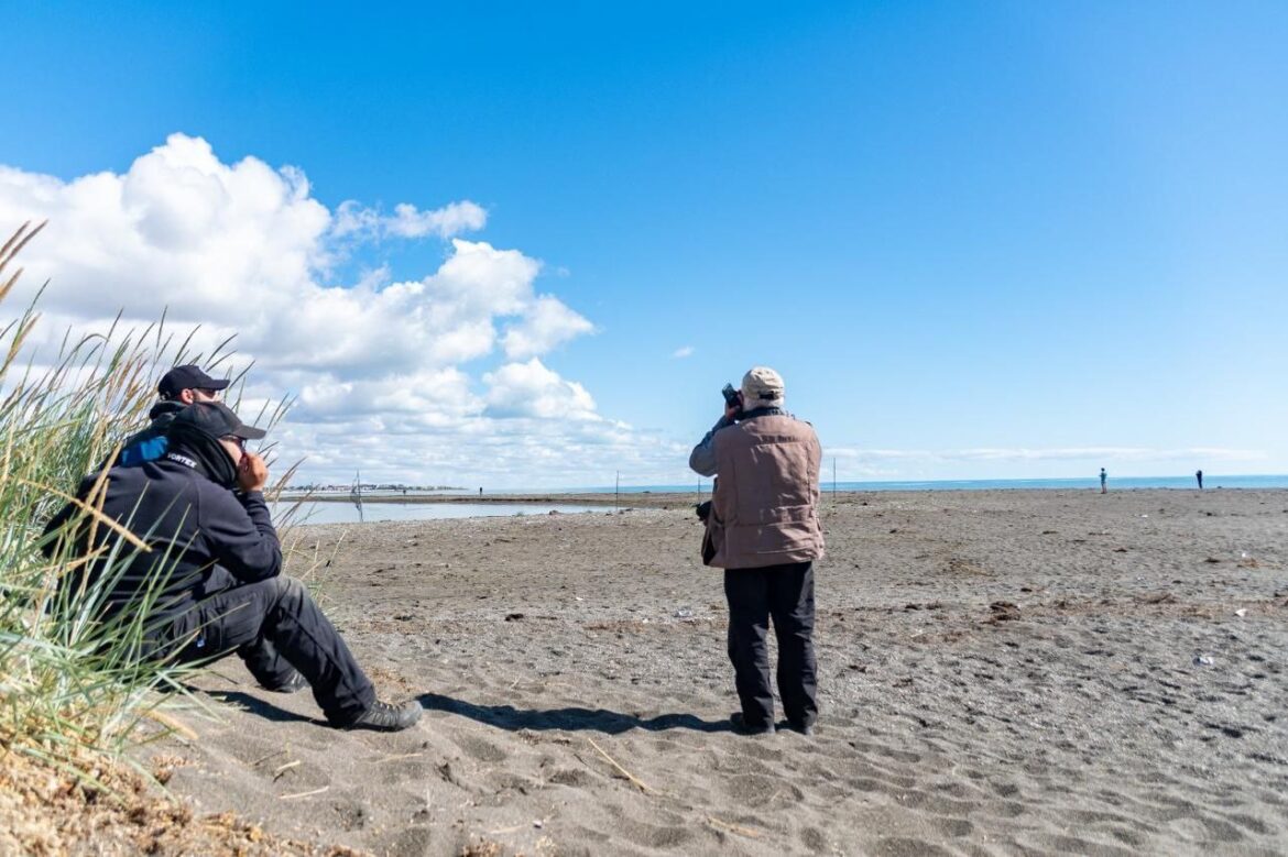 LA PROVINCIA FORTALECIÓ SUS CAPACIDADES EN INVESTIGACIÓN Y MONITOREO DE AVES PLAYERAS MIGRATORIAS