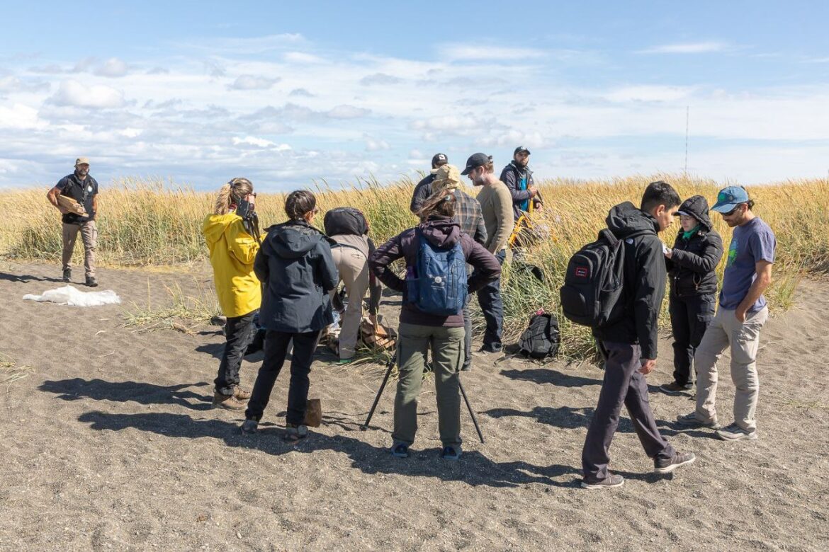 EL MUNICIPIO ACOMPAÑÓ UNA CAPACITACIÓN CIENTÍFICA CLAVE PARA LA CONVERSACIÓN DE AVES MIGRATORIAS EN RÍO GRANDE