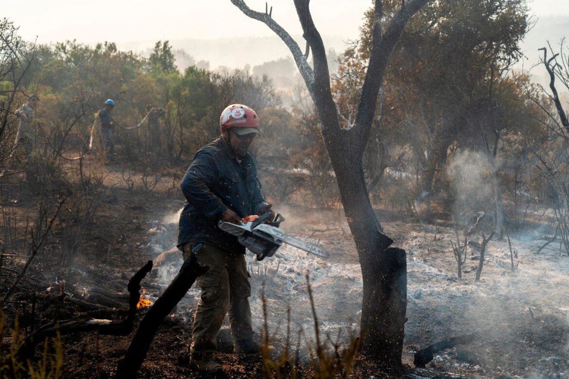 Emergencia Incendios: El Fuego Avanza Implacable en los Parques Nacionales de la Patagonia