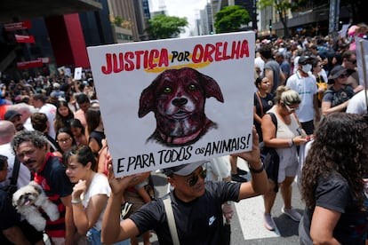 Crueldad Extrema contra una perra de la calle provoca protesta social en Brasil