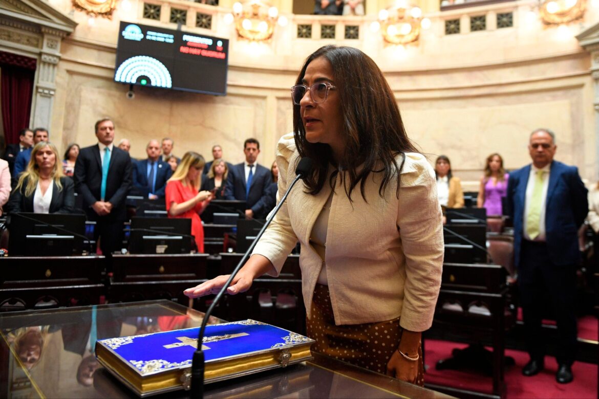 La jugada libertaria en el Senado: un pacto de antiperonismo que reconfigura el tablero legislativo