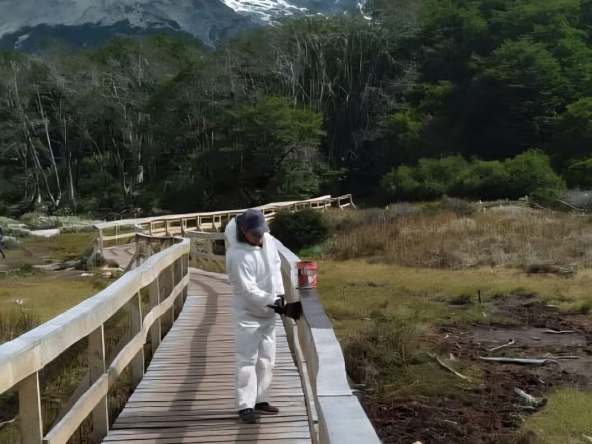 EL INFUETUR INTENSIFICÓ DURANTE ESTA TEMPORADA LAS ACCIONES DE MANTENIMIENTO Y CONTROL EN ESPACIOS NATURALES