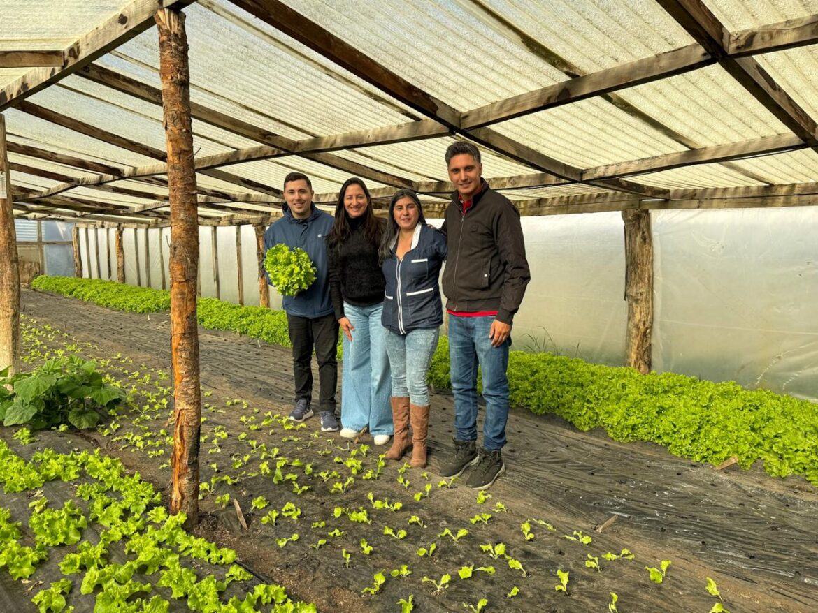 PRODUCTORES LOCALES DESTACAN EL ACOMPAÑAMIENTO DEL MUNICIPIO AL SECTOR HORTÍCOLA