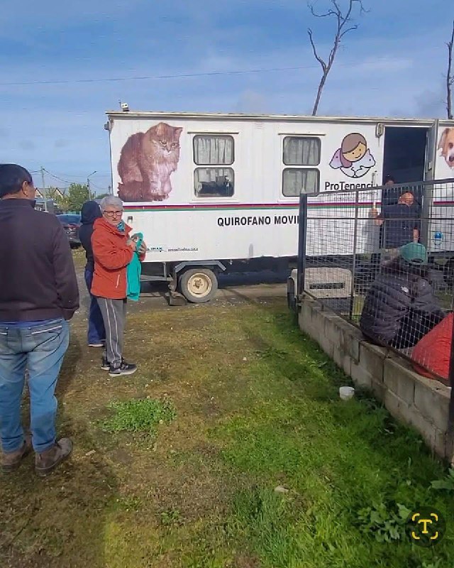 Se realizó en Tolhuin la primera jornada del año de castración, desparasitación e identificación animal