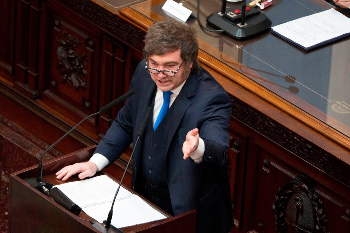 Teresita García, dura crítica al discurso de Milei: «El presidente no está en sus cabales»