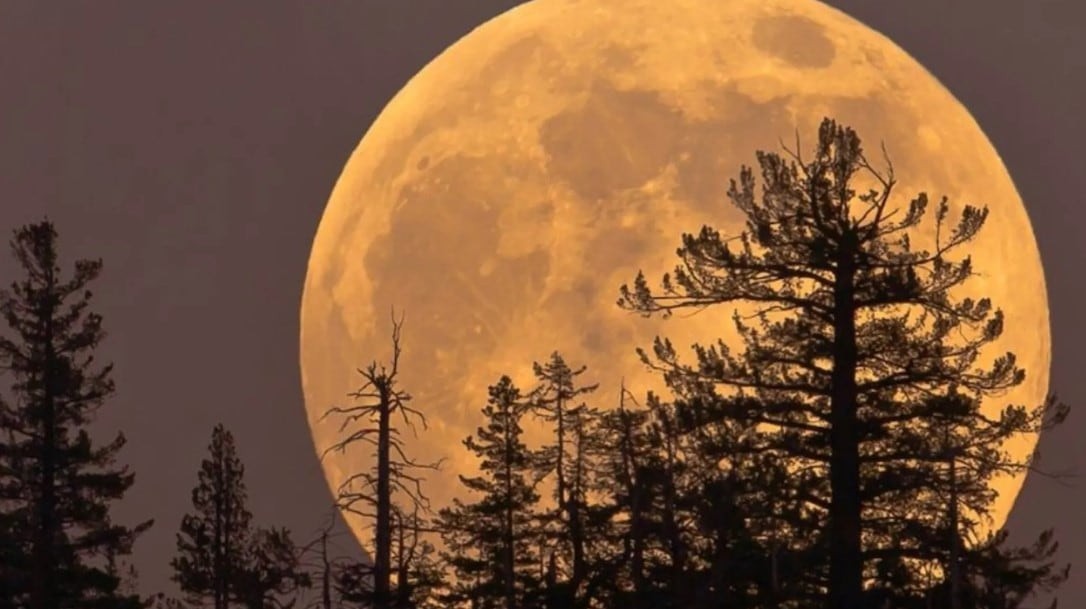 La NASA apuesta a la ocupación humana fija en la Luna y relega su puesto orbital para enfocarse en una base de superficie