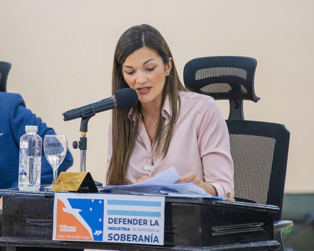 Zamora: ‘’Quitar subsidios al gas es desconocer cómo se vive en el sur’’