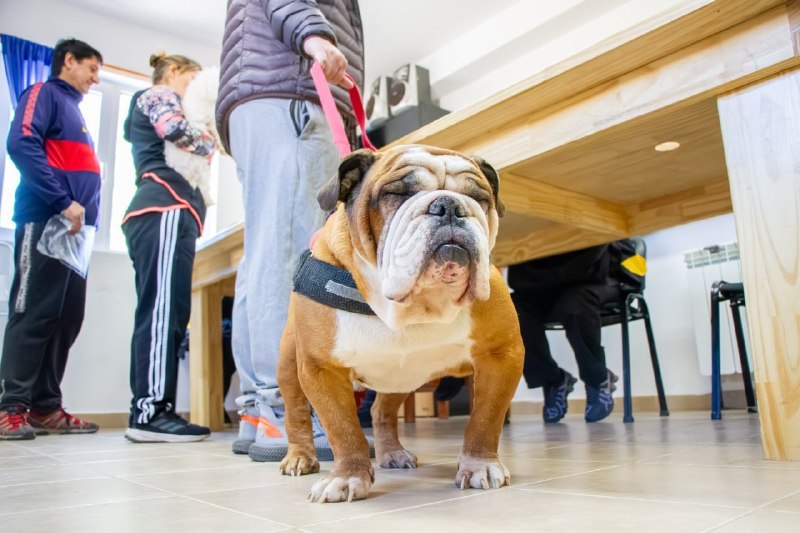 RGA MASCOTERA: EL MUNICIPIO LLEVARÁ ADELANTE UNA NUEVA JORNADA DE VACUNACIÓN ANTIRRÁBICA