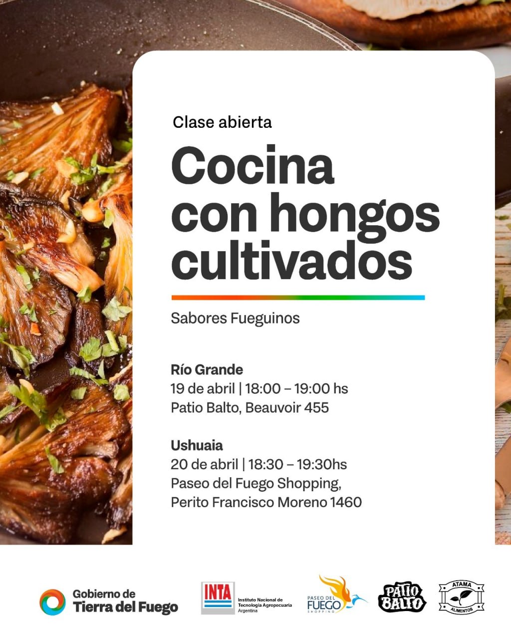 COCINA CON HONGOS: UNA INVITACIÓN A DESCUBRIR EL MUNDO FUNGI Y SU VALOR EN LA PRODUCCIÓN LOCAL
