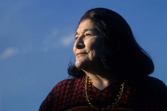 Repudio absoluto: la familia de Mercedes Sosa exige la destitución de un funcionario libertario tras viles agravios en redes sociales