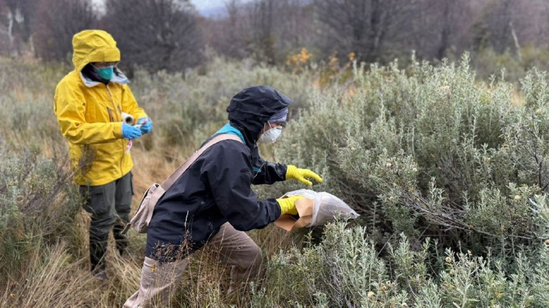 LA PROVINCIA Y EL MALBRAN DESPLIEGAN OPERATIVO DE VIGILANCIA EPIDEMIOLÓGICA CON 150 TRAMPAS