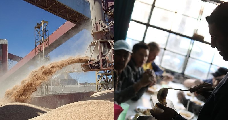 Exportaciones en cifras sin precedentes mientras los hogares argentinos sufren la escasez en la mesa