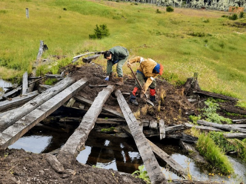 GOBIERNO DECLARÓ DE INTERÉS AMBIENTAL LA PARTICIPACIÓN CIUDADANA PARA LA RESTAURACIÓN DE LA RESERVA CORAZÓN DE LA ISLA