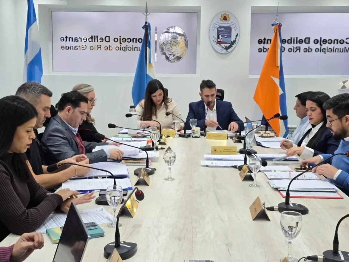 El Concejo analizó excepciones comerciales y proyectos vinculados a la actividad económica