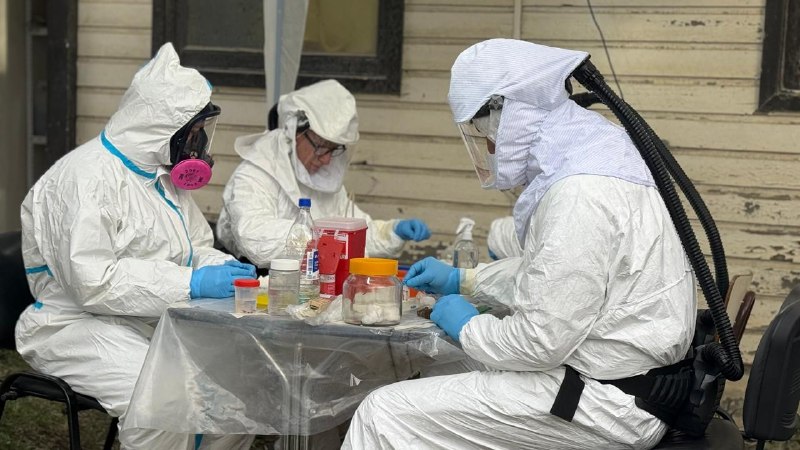 SALUD CONFIRMÓ QUE LA VARIANTE DE HANTAVIRUS VINCULADA AL CRUCERO MV HONDIUS NO CIRCULA EN USHUAIA