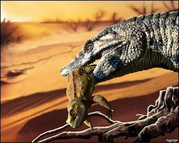 Descubren en la Patagonia una nueva especie de cocodrilo carnívoro que habitó la región hace más de 100 millones de años