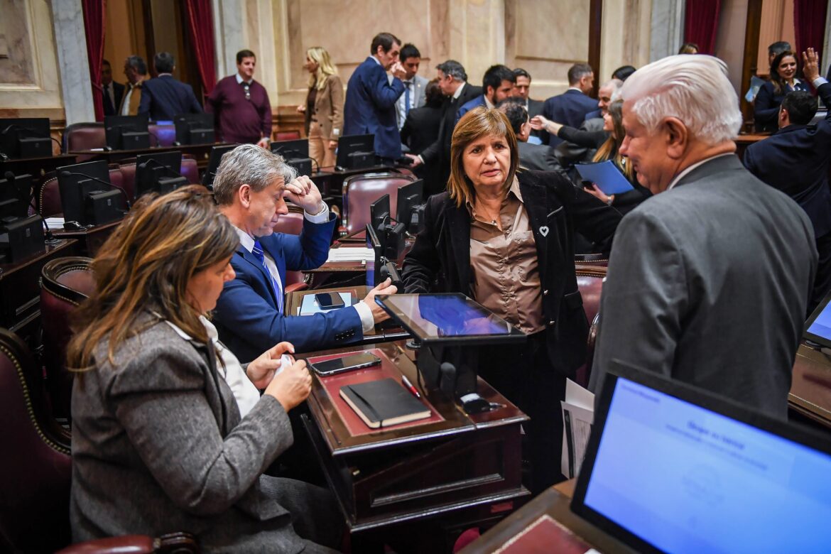 Fuerte rechazo al proyecto que modifica la Ley de Tierras: advierten sobre una mayor extranjerización y la venta de áreas estratégicas