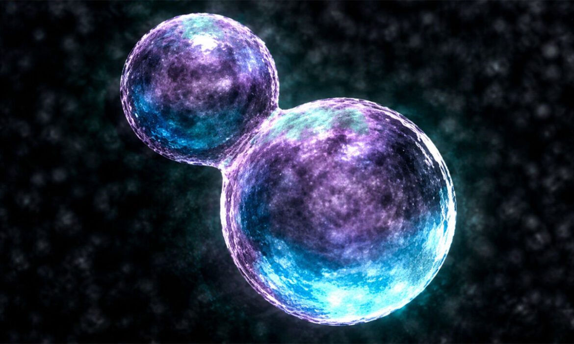 SpudCell: el «chasis sintético» que imita la vida y abre la puerta a una nueva era en biotecnología