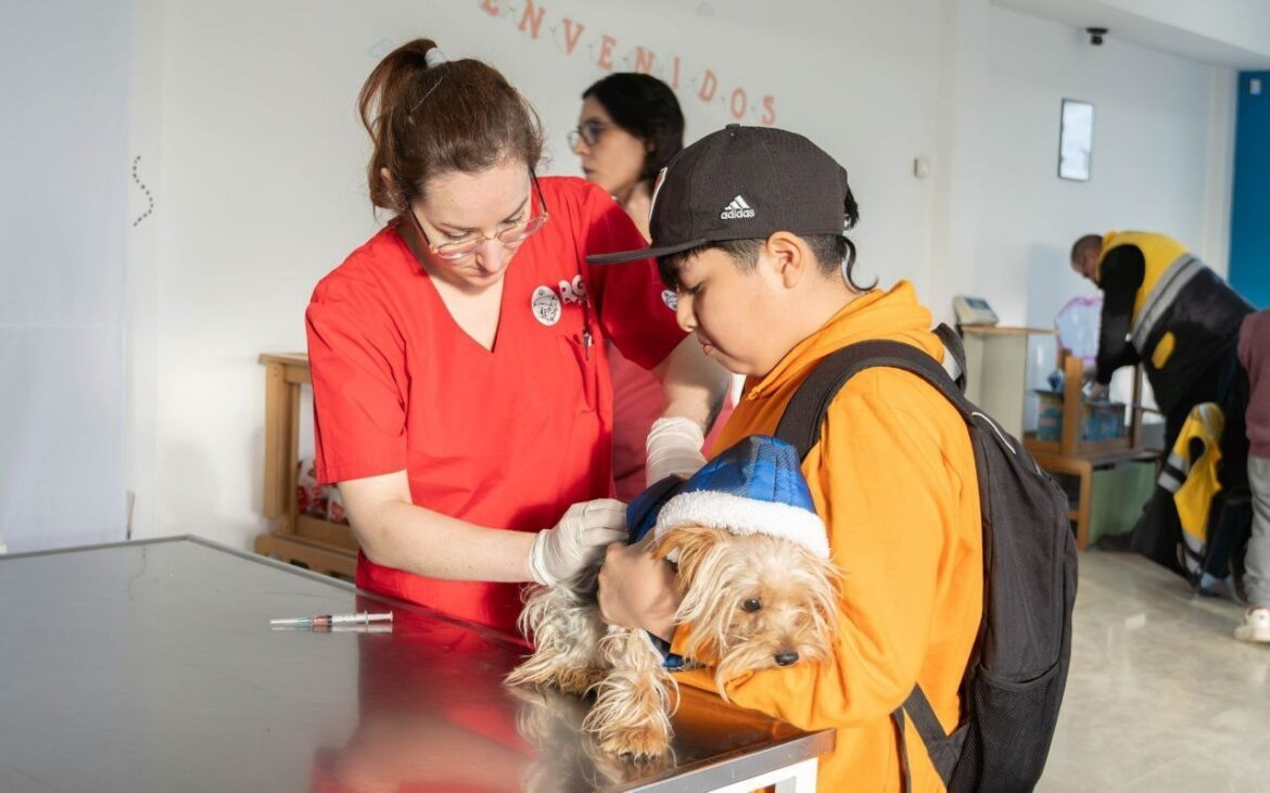 TENENCIA RESPONSABLE: EL MUNICIPIO REALIZARÁ UNA NUEVA JORNADA DE CUIDADO PARA LAS MASCOTAS
