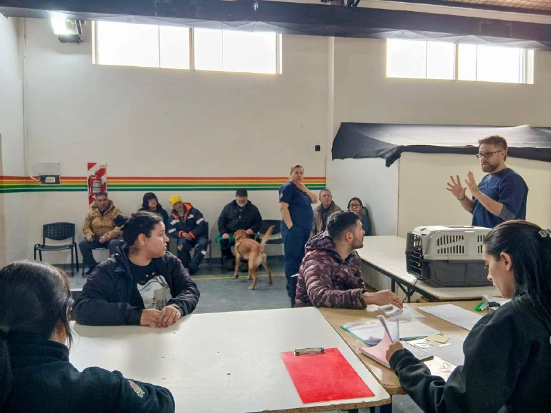 Salud Pública Veterinaria concretó nuevas acciones de bienestar animal en Tolhuin