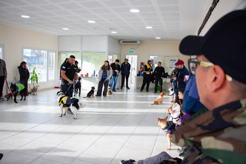 “PATITAS COMUNITARIAS”: UNA JORNADA PARA PROMOVER LA TENENCIA RESPONSABLE Y EL TRABAJO COMUNITARIO