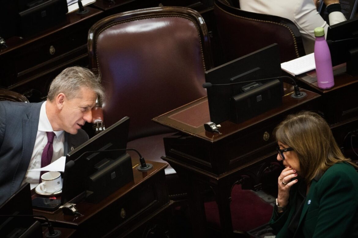 El oficialismo sufrió un nuevo revés en el Senado y aprobó una ley desmembrada en medio de una fuerte represión