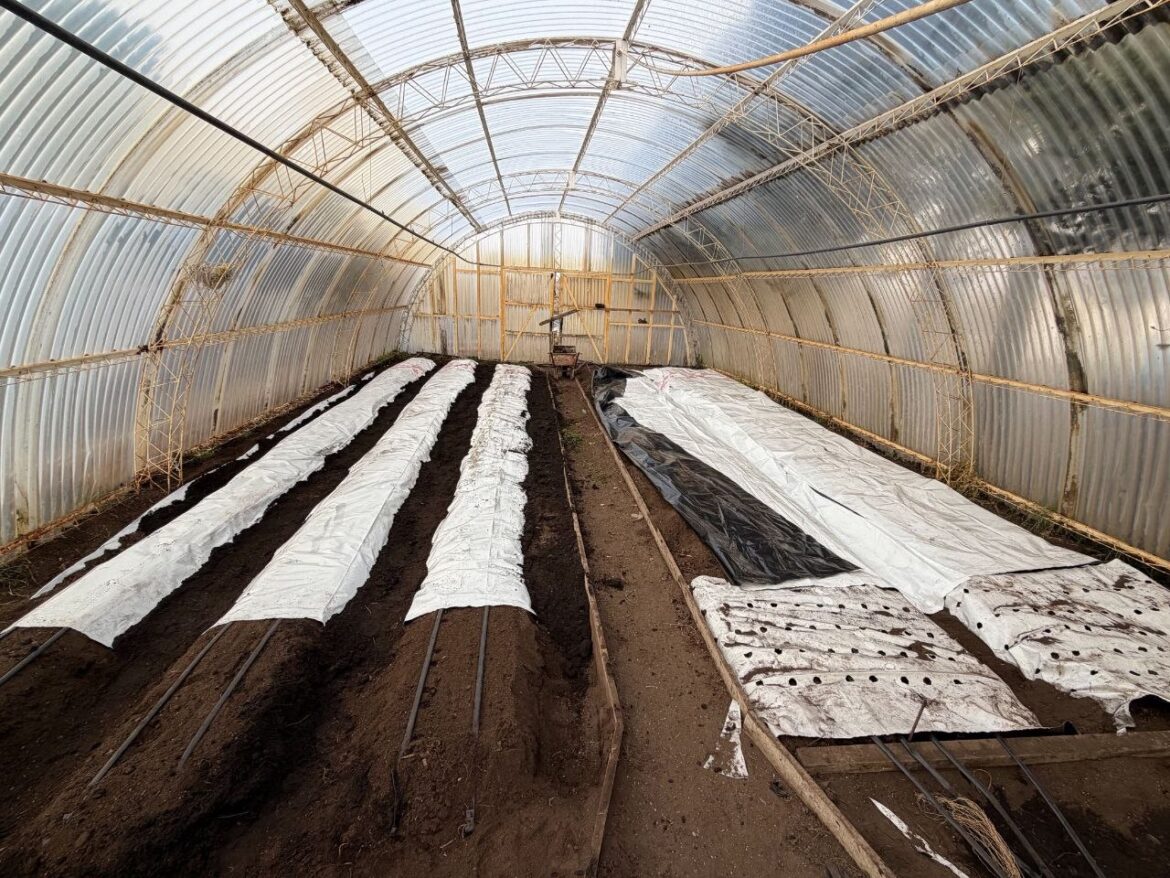 RÍO GRANDE AVANZA EN LA PUESTA EN MARCHA DE LA CHACRA AGROEXPERIMENTAL “GERMÁN ASENCIO”