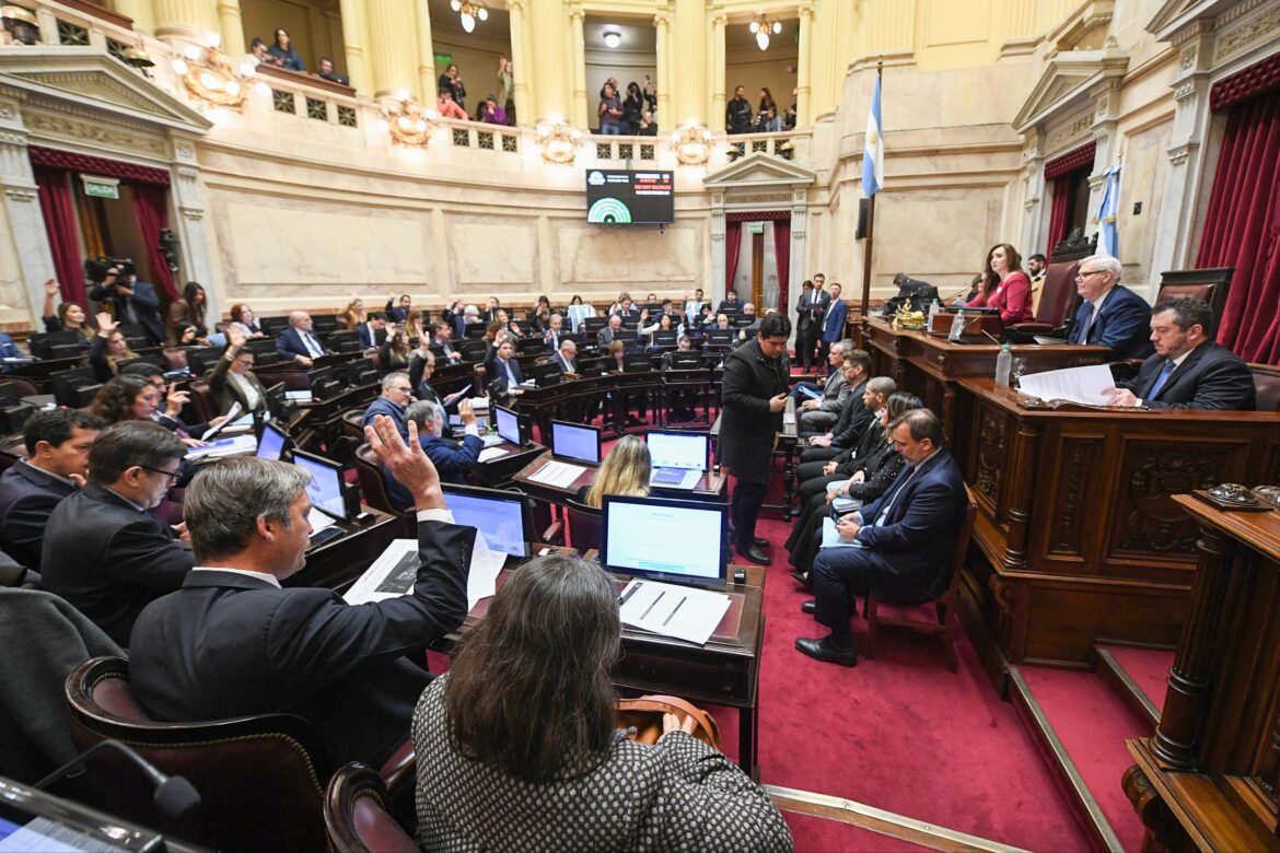 Dura advertencia de los organismos de derechos humanos al Senado: el proyecto de «Inviolabilidad de la Propiedad Privada» es un «desguace de la Nación»
