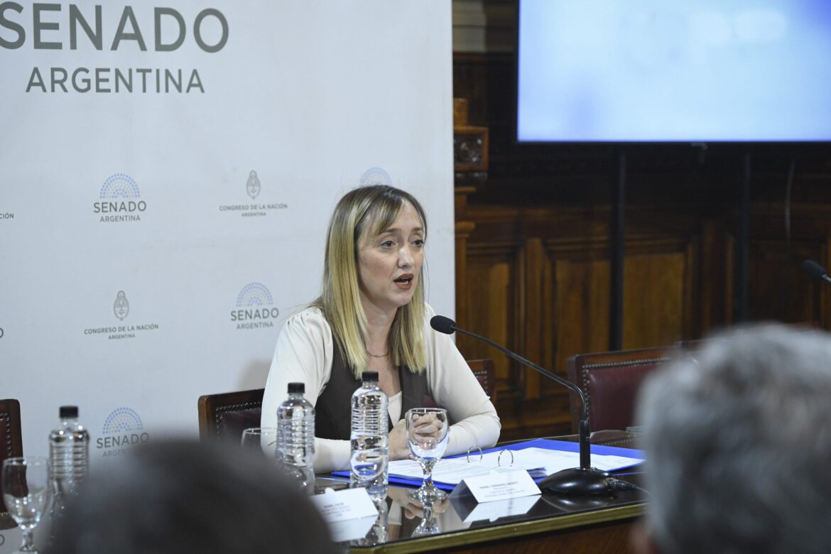 Villarruel habilitó el voto remoto de Anabel Fernández Sagasti y abrió un nuevo frente político en una sesión clave para el Gobierno