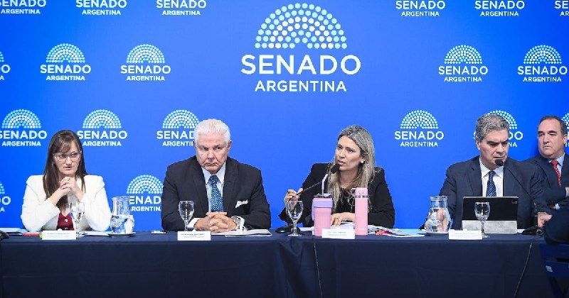 El sueño del Súper RIGI se desvanece en el Senado ante el cerco de los aliados industriales