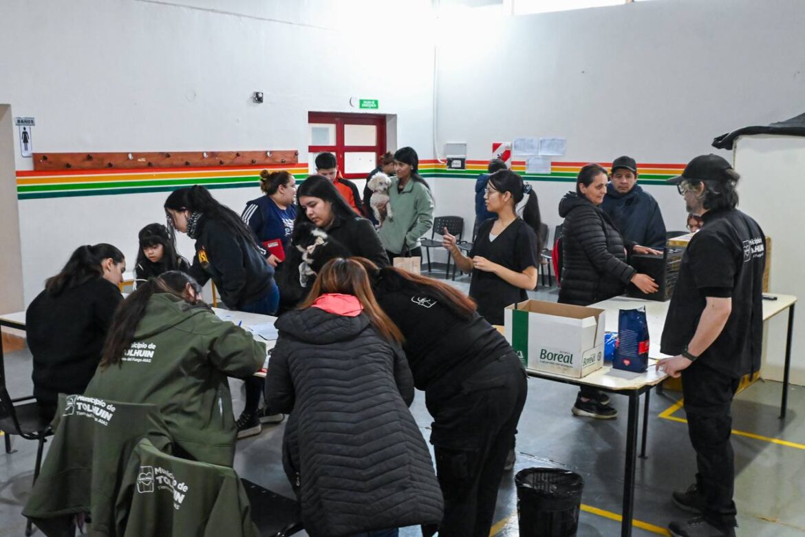 Una nueva jornada de cuidado responsable atendió a 82 animales de compañía en Tolhuin